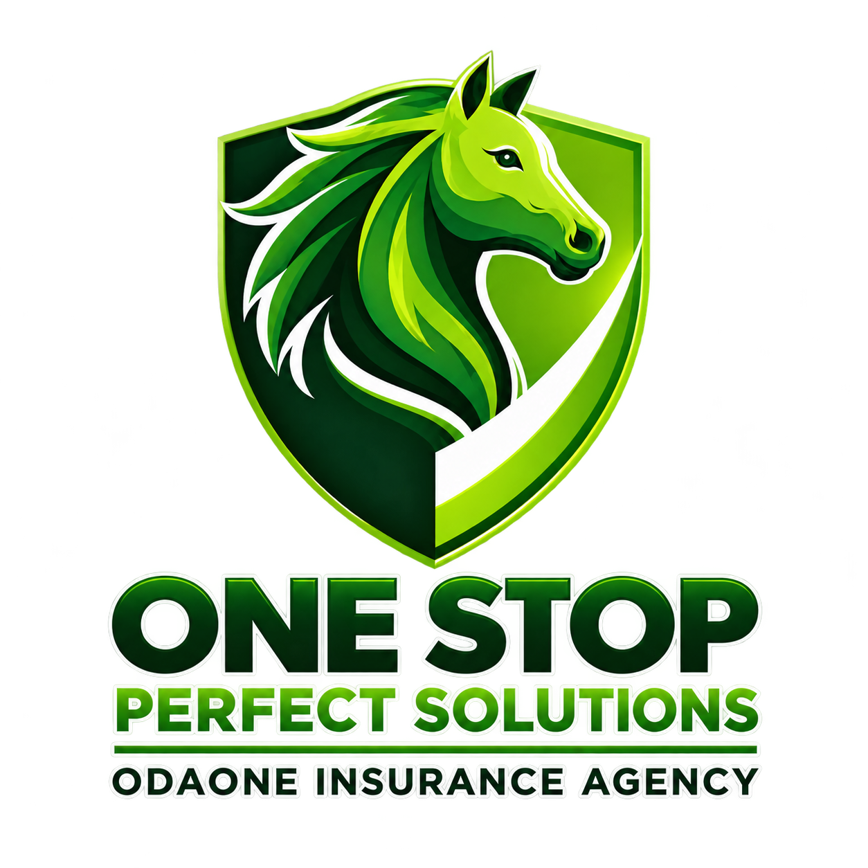 One Stop Perfect Solutions — Odaone Insurance Agency
