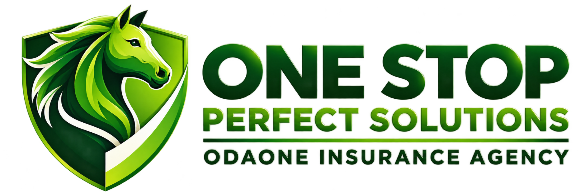 One Stop Perfect Solutions — Odaone Insurance Agency